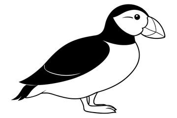 puffin bird line art silhouette vector illustration