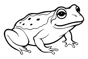 toad line art silhouette vector illustration
