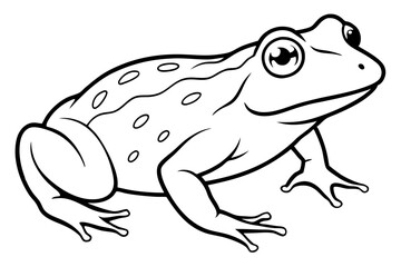 toad line art silhouette vector illustration