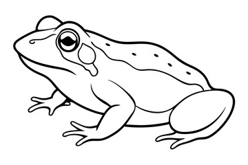 toad line art silhouette vector illustration