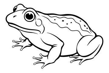 toad line art silhouette vector illustration