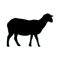 sheep silhouette - vector illustration
