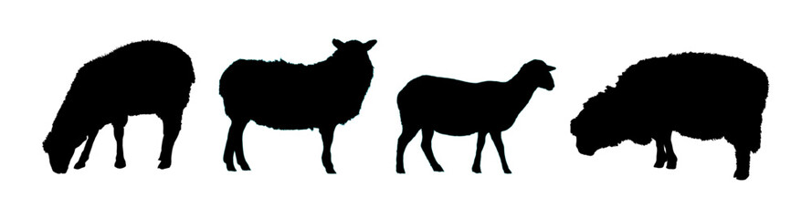 
sheep silhouette set - vector illustration
