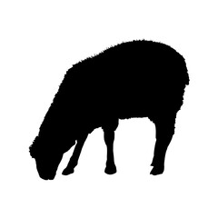 sheep silhouette - vector illustration