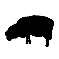 sheep silhouette - vector illustration