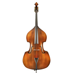 Fototapeta premium Studio Shot: Classic Double Bass.