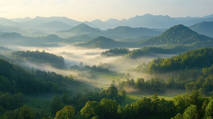 Obraz premium Misty Green Hills and Valleys at Sunrise