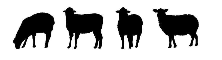 
sheep silhouette set - vector illustration