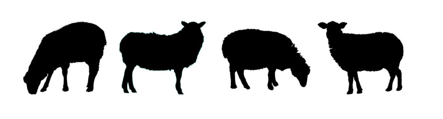 
sheep silhouette set - vector illustration