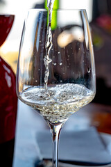 Wine making on bodegas wineries on volcanic soils of Mount Teide in Tacoronte-Acentejo wine region on Tenerife, Canary islands vacation, Spain, tasting of white malvasia grape wine with local cheese