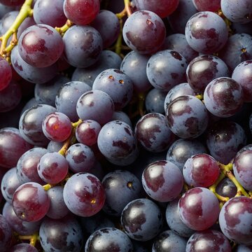 bunch of grapes