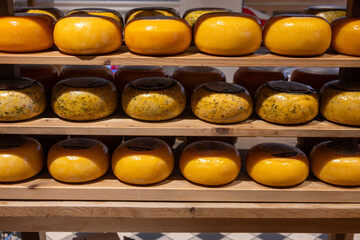 Wooden shelves with hard matured cheese from cow's milk at cheese factory in North Holland, The Netherlands, Dutch cheese farm