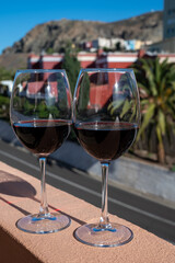 Wine making on bodegas wineries on volcanic soils of Mount Teide in Ycoden-Daute-Isora wine region...