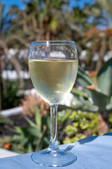 Celebration, birthday party, drinking of cold dry white wine in vacation resort Costa Adeje, Tenerife, Canary islands winter sun vacation, Spain