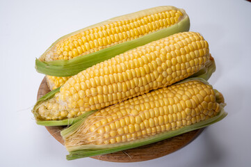 Fresh yellow ripe sweet raw corn, sugar corn or pole corn, variety of maize, uncooked