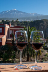 Wine making on bodegas wineries on volcanic soils of Mount Teide in Ycoden-Daute-Isora wine region...