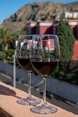 Wine making on bodegas wineries on volcanic soils of Mount Teide in Ycoden-Daute-Isora wine region on Tenerife, Canary islands winter sun vacation, Spain