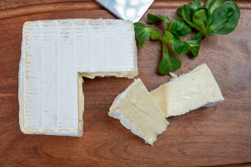 French soft squared pont l'eveque cow cheese from Calvados department, Normandy, France