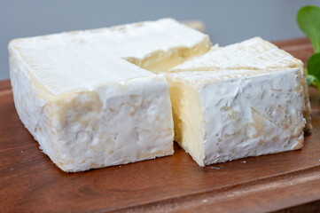 French soft squared pont l'eveque cow cheese from Calvados department, Normandy, France