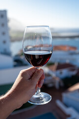 Wine making on bodegas wineries on volcanic soils of Mount Teide in Ycoden-Daute-Isora wine region...