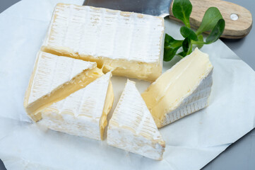 French soft squared pont l'eveque cow cheese from Calvados department, Normandy, France