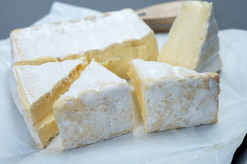 French soft squared pont l'eveque cow cheese from Calvados department, Normandy, France