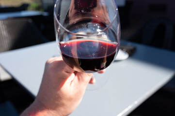 Wine making on bodegas wineries on volcanic soils of Mount Teide in Tacoronte-Acentejo wine region on Tenerife, Canary islands vacation, Spain, tasting of red listan negro grape wine