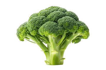 Fresh green broccoli with a vibrant and healthy appearance ready for culinary delights and nutritious meals Generative AI