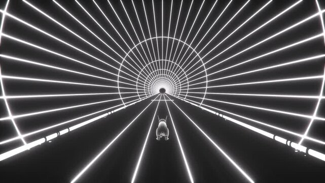 Holographic Rabbit Hole Tunnel - Loop - Fantasy Wonderland Immersive Appeal Background