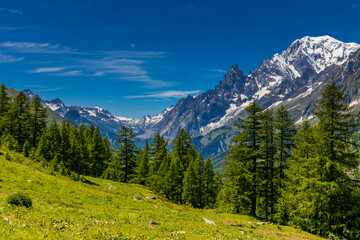 Obraz premium Beautiful mountain landscape of the Alps in summer on tour du Montblanc area near Courmayeur village in Val Ferret valley in Italy. European Alps stunning views of green valley with colorful flowers