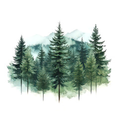 Obraz premium Watercolor of a foggy coniferous forest, in green tones. Silhouette of trees. The Nature of Hand-drawn Illustration