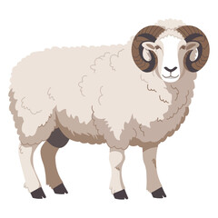 Ram Icon Farm Animal Male Sheep for Wool Production