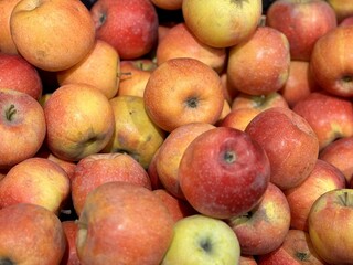 A mound of large red yellow coloured apples in boxes is displayed in the window of the supermarket's vegetable stand, demonstrating organic, vegetarian and healthy food. Close-up
