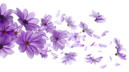 Flying purple flower isolated on white background