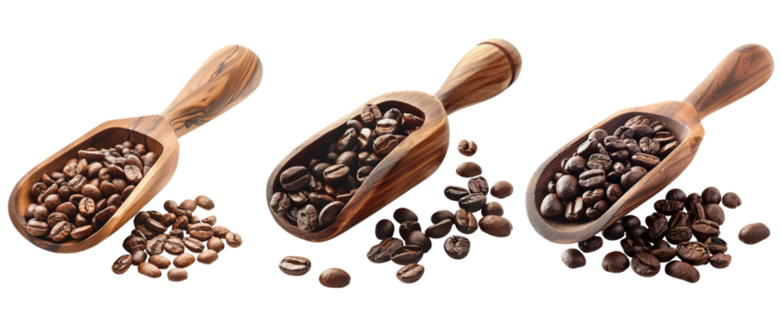 Coffee Beans on Wooden Scoop Set on Transparent Background