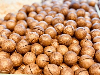 Macadamia nuts, unpeeled, are large in size on sale on the market. The concept of healthy organic food. Close-up