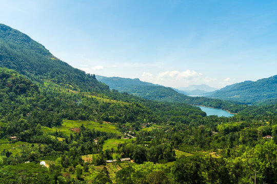 Nuwara Eliya : un coin de paradis au Sri Lanka"