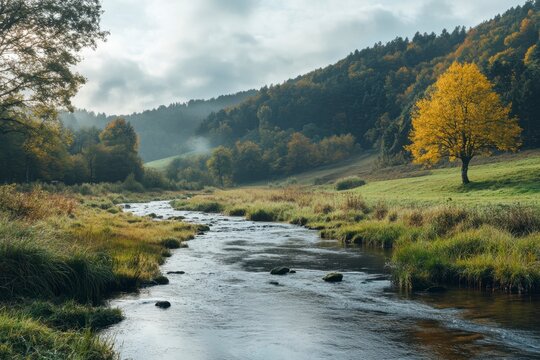 River flows through grassy valley under cloudy sky; autumn forest and trees on hillside