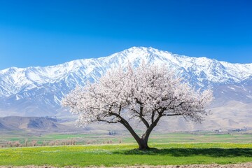 Beautiful spring vista of Shahdag National Reserve mountains