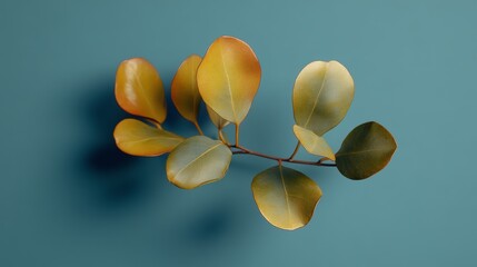 A leafy green branch angles diagonally across a solid light blue background