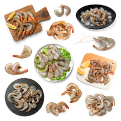 Fresh raw shrimps isolated on white, set
