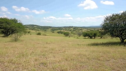 Obraz premium Expansive Savanna Landscape Under Partly Cloudy Sky