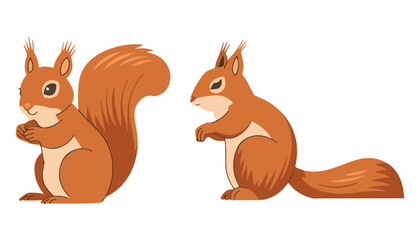 Set of Squirrel Icons Wild Forest Mammals with Fluffy Tails