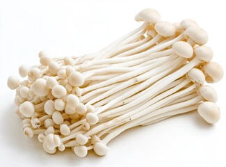 Fresh Enoki Mushrooms on White Background, Studio Shot