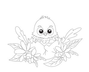Easter coloring book page. A chick sitting in a broken egg surrounded by flowers and leaves. 
