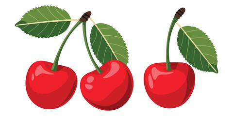 Cartoon Ripe Cherries and Bunches