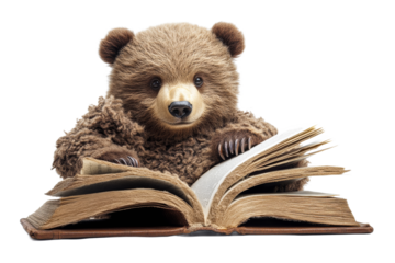 Brown bear is reading an old book with white pages, cut out transparent