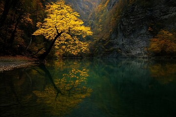 Autumnal Lake Reflections in Canyon
