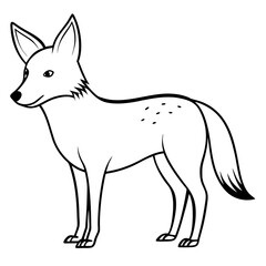 a simple line drawing of a coyote, showing the animal's features and form vector illustration