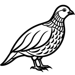 Obraz premium a black and white illustration of a bird standing with a detailed outline, showcasing the bird's features, perfect for graphic design projects